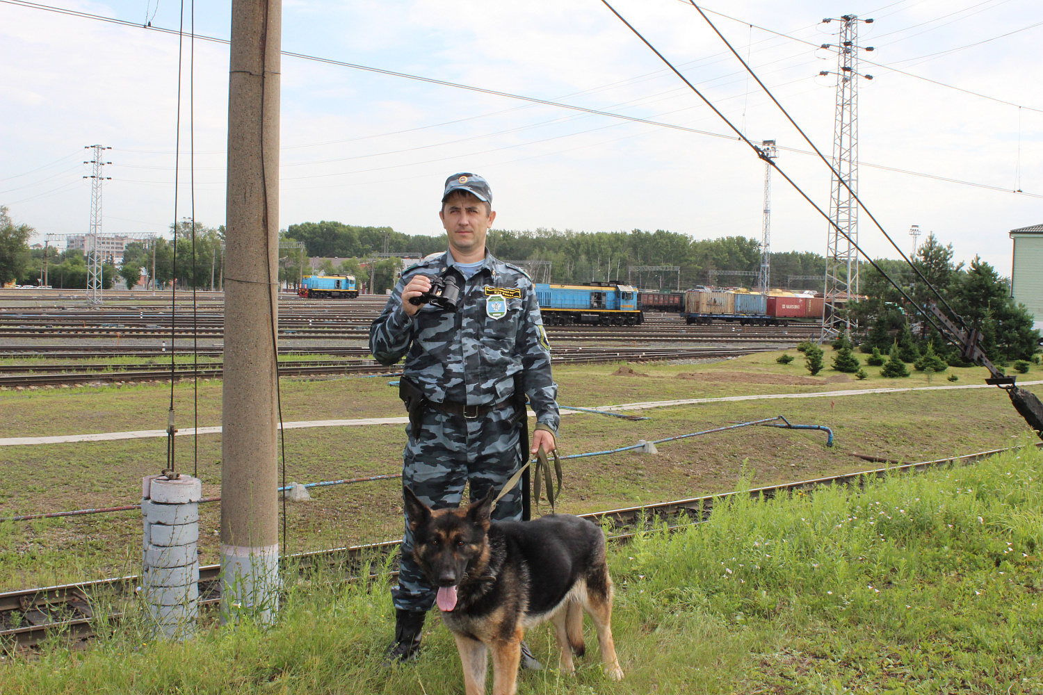 Разыскные собаки