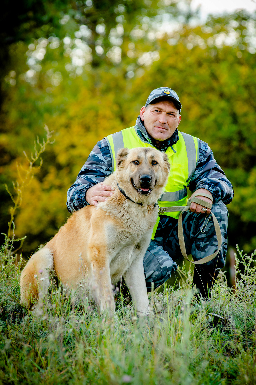 Караульные собаки