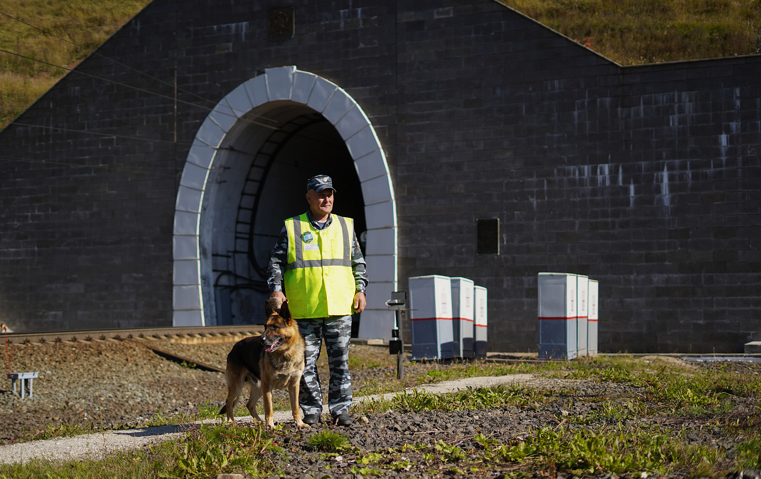 Разыскные собаки