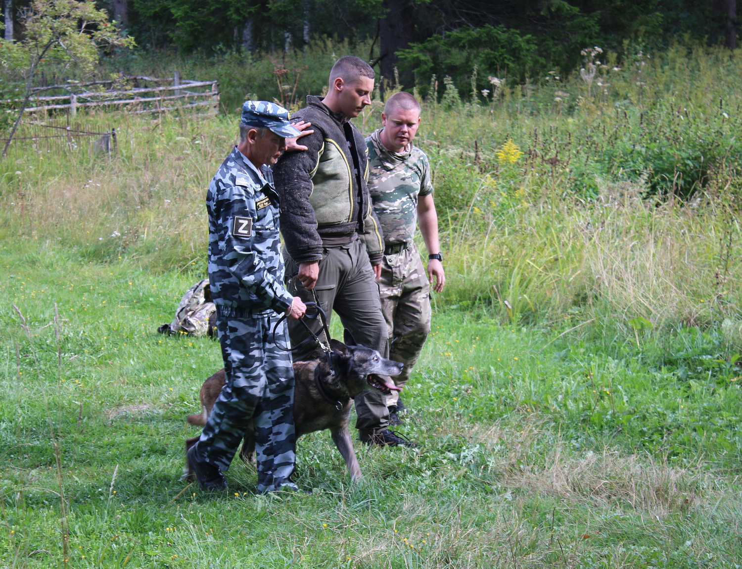 Разыскные собаки