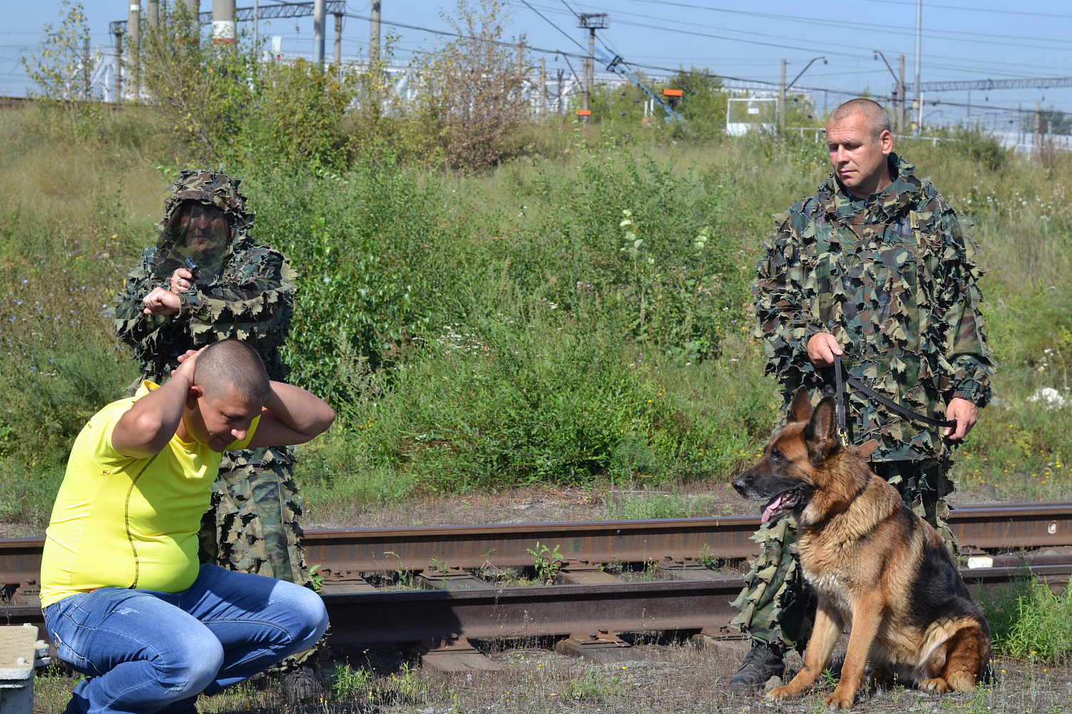 Разыскные собаки